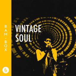 Vintage Soul