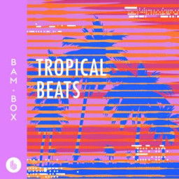 Tropical Beats