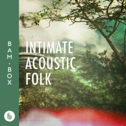 Intimate Acoustic Folk
