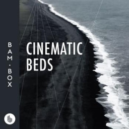Cinematic Beds