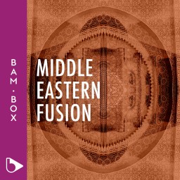 Middle Eastern Fusion