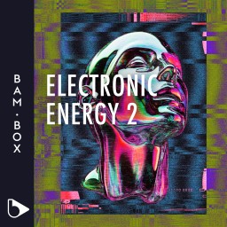 Electronic Energy 2