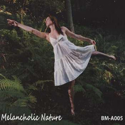 Melancholic Nature