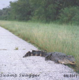 Swamp Swagger