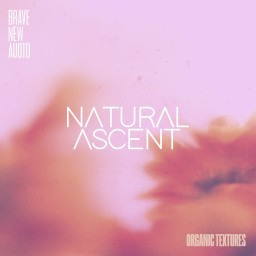Natural Ascent: Organic Textures