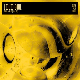 Liquid Soul - Drum & Bass