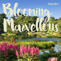 Blooming Marvellous