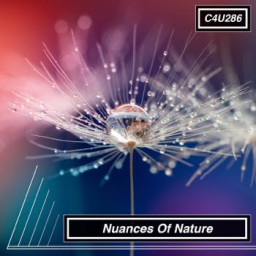 Nuances Of Nature