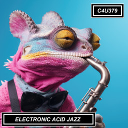 ELECTRONIC ACID JAZZ