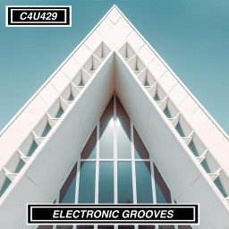 ELECTRIC GROOVES