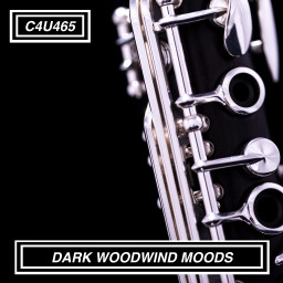 DARK WOODWIND MOODS