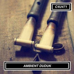 AMBIENT DUDUK