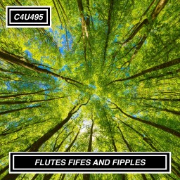 FLUTES FIFES AND FIPPLES