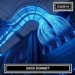 DATA SONNET