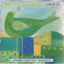 Leisure Lifestyle-Acoustic