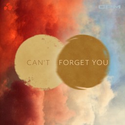 Can't Forget You