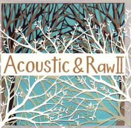 Acoustic & Raw II