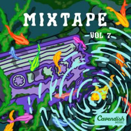 Mixtape Vol. 7