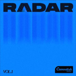 Radar: Vol. 1
