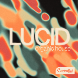 Lucid: Organic House