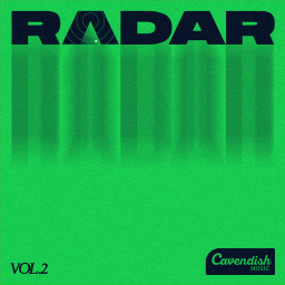 Radar: Vol. 2