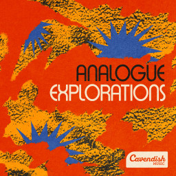 Analogue Explorations