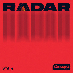 Radar Vol. 4