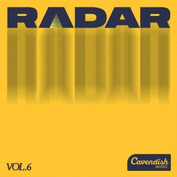 Radar Vol. 6