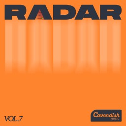 Radar Vol. 7