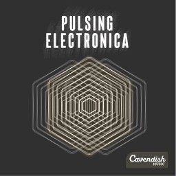 Pulsing Electronica