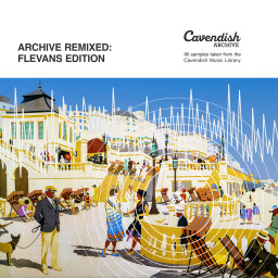 Archive Remixed: Flevans Edition