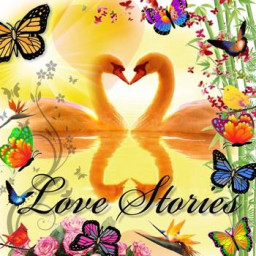 Love Stories