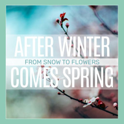 AFTER WINTER COMES SPRING