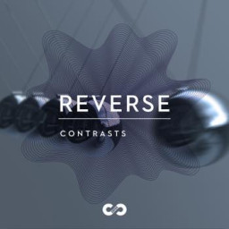 Contrast: Reverse