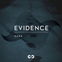 Dark: Evidence