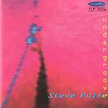 Steve Pulse Undergroove