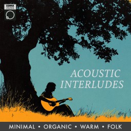 Acoustic Interludes
