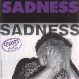 Sadness