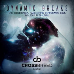 Dynamic Breaks
