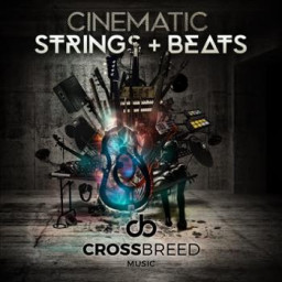 Cinematic Strings and Beats