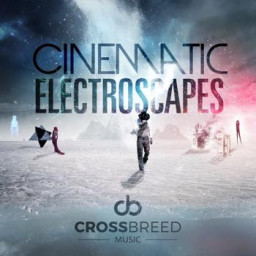 Cinematic Electroscapes
