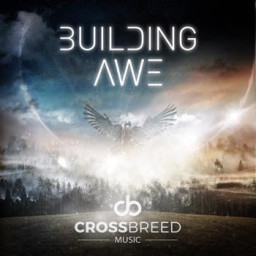 Building Awe