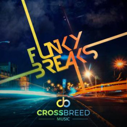 Funky Breaks