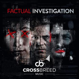 Factual Investigation