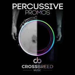 Percussive Promos