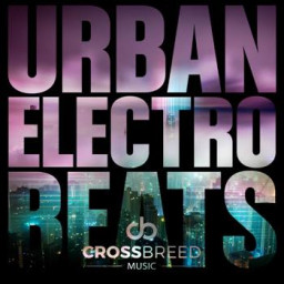 Urban Electro Beats