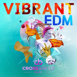 Vibrant EDM