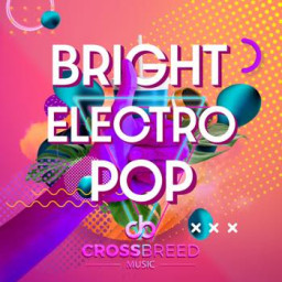 Bright Electro Pop