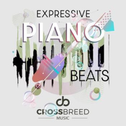 Expressive Piano Beats