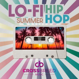 Lo Fi Summer Hip Hop